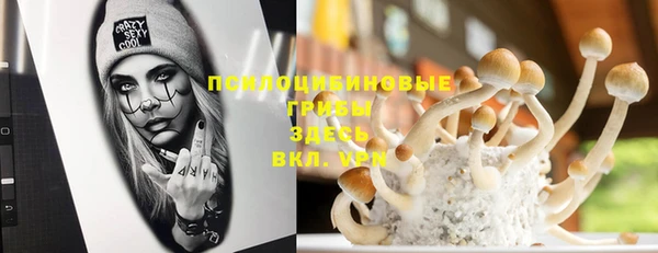 индика Алексеевка