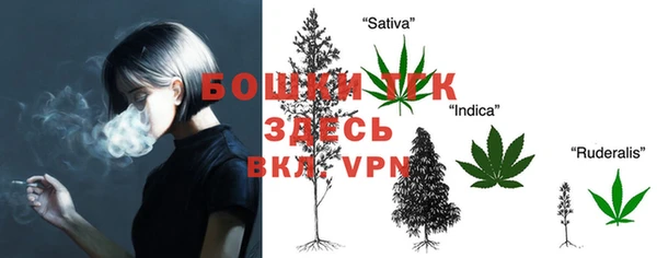 индика Алексеевка