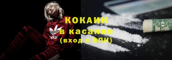 индика Алексеевка