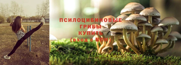 индика Алексеевка