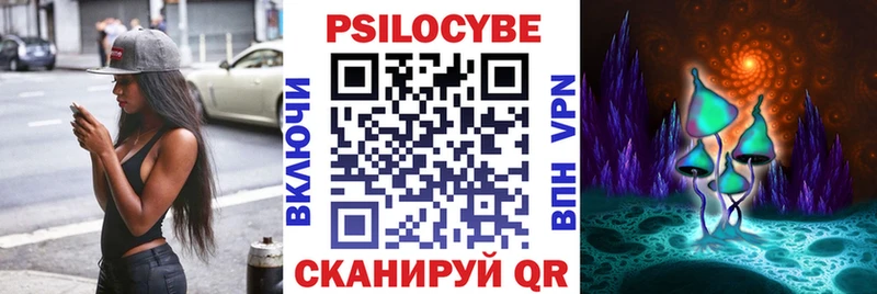 KRAKEN зеркало  Щигры  Псилоцибиновые грибы ЛСД 